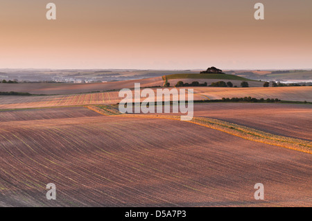 Am frühen Morgen Blick über Vale of Pewsey von Knap Hill, in der Nähe von Alton, Wiltshire, UK Stockfoto