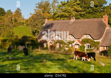 Reetdachhaus im Dorf Lockeridge, Wiltshire, UK Stockfoto