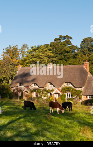 Reetdachhaus im Dorf Lockeridge, Wiltshire, UK Stockfoto