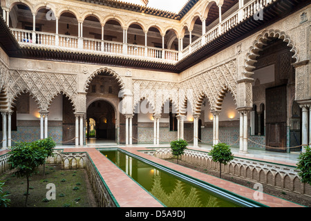 DDie Alcazar, maurischen Palast, Reales Alcazares, Innenhof der Jungfrauen, Patio de Las Huasaco, Sevilla, Spanien Stockfoto