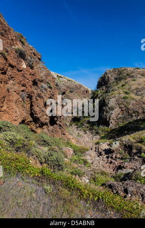 Scorpion-Canyon, wo Vogelbeobachter für Insel Peeling Jay auf der Insel Santa Cruz in Channel Islands Nationalpark suchen Stockfoto