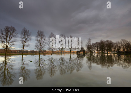 Überschwemmten Wiesen in Norfolk, Großbritannien Stockfoto