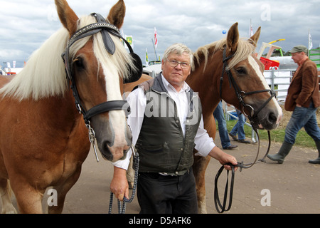 Rendsburg, Deutschland, Tier-Show bei der landwirtschaftlichen Messe Norla Stockfoto