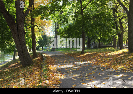 La Fontaine Park befindet sich in der Hochebene von Montreal, Quebec. Lee Brown/die kanadische Pressebilder Stockfoto