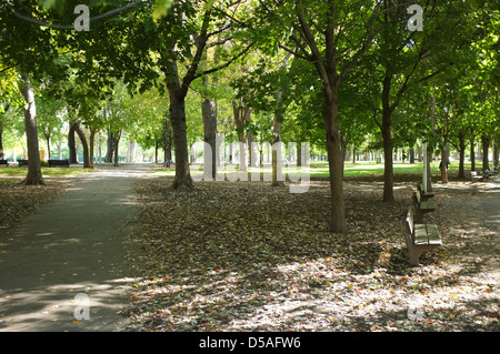 La Fontaine Park befindet sich in der Hochebene von Montreal, Quebec. Lee Brown/die kanadische Pressebilder Stockfoto