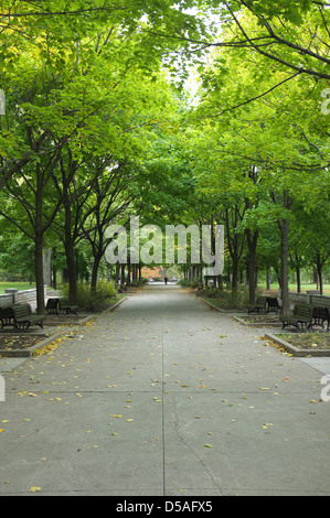 La Fontaine Park befindet sich in der Hochebene von Montreal, Quebec. Lee Brown/die kanadische Pressebilder Stockfoto