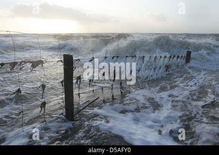 Dagebuell, Deutschland, Sturmflut in der Nordsee Stockfoto