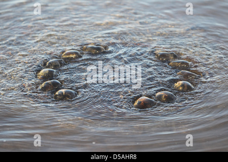 Flensburg, Deutschland, Ostsee-Flut am Flensburger Hafen Stockfoto