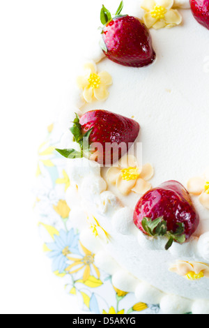 Schoko Erdbeere Zitrone Torte mit 6 Schichten von Schokolade Kuchen, Quark mit Zitrone und Erdbeer Mousse gefüllt, in White Chocolate Cream Cheese frosting abgedeckt. Stockfoto