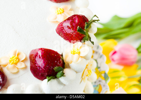 Schoko Erdbeere Zitrone Torte mit 6 Schichten von Schokolade Kuchen, Quark mit Zitrone und Erdbeer Mousse gefüllt, in White Chocolate Cream Cheese frosting abgedeckt. Stockfoto