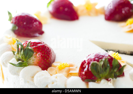 Schoko Erdbeere Zitrone Torte mit 6 Schichten von Schokolade Kuchen, Quark mit Zitrone und Erdbeer Mousse gefüllt, in White Chocolate Cream Cheese frosting abgedeckt. Stockfoto