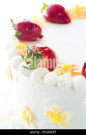 Schoko Erdbeere Zitrone Torte mit 6 Schichten von Schokolade Kuchen, Quark mit Zitrone und Erdbeer Mousse gefüllt, in White Chocolate Cream Cheese frosting abgedeckt. Stockfoto