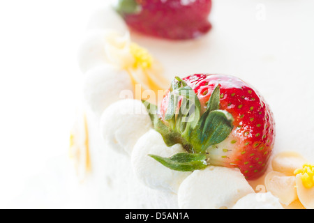 Schoko Erdbeere Zitrone Torte mit 6 Schichten von Schokolade Kuchen, Quark mit Zitrone und Erdbeer Mousse gefüllt, in White Chocolate Cream Cheese frosting abgedeckt. Stockfoto