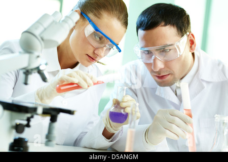 Professionelles Team von Forschern, die zusammen im Labor Stockfoto