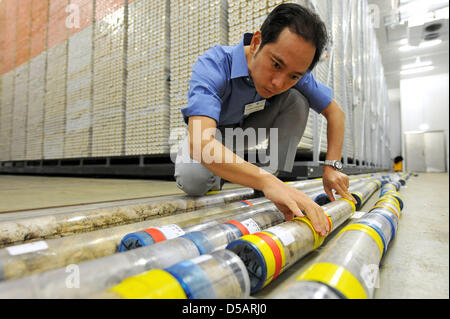 Yusuke Yokoyama, Leiter der Ozeanischen Bohrprogramm (IOPD) des Great Barrier Reef an Australiens Küste, untersucht Testings Bohrersatz Korallen im Zentrum für Marine Umweltwissenschaften in Bremen, Deutschland, 9. Juli 2010. Wissenschaftler eröffnet fossilen Korallen in einer Tiefe von 200 Metern. Der Bohrkern sollen um über den Meeresspiegelanstieg von der letzten Eiszeit zu informieren. Foto: Michae Stockfoto