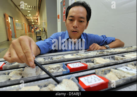 Yusuke Yokoyama, Leiter der Ozeanischen Bohrprogramm (IOPD) des Great Barrier Reef an Australiens Küste präsentiert Bohrkernen im Zentrum für Marine Umweltwissenschaften in Bremen, Deutschland, 9. Juli 2010. Wissenschaftler eröffnet fossilen Korallen in einer Tiefe von 200 Metern. Der Bohrkern sollen um über den Meeresspiegelanstieg von der letzten Eiszeit zu informieren. Foto: Michael Bahlo Stockfoto