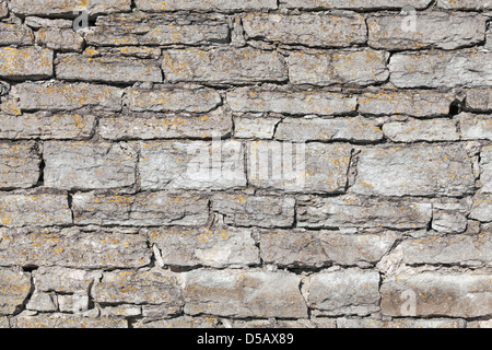 Hintergrundtextur von alten grauen Steinwand Stockfoto