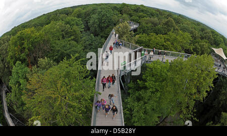 Viusitors zum Nationalpark Hainich gehen ein Baumwipfelpfad in der Nähe von Bad Langensalza, Deutschland, 3. August 2010. Die 44-Meter-hohen Weg erstreckt sich über 500 m. Foto: Martin Schutt Stockfoto