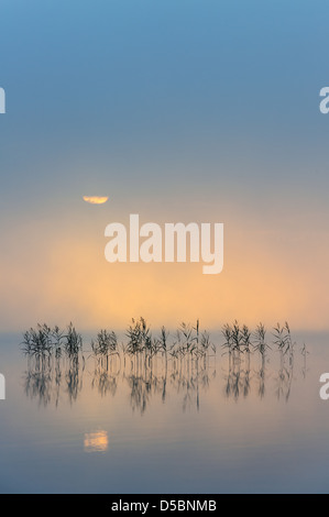 Morgendämmerung über See Finnsjön, Mölnlycke, Schweden, Europa Stockfoto