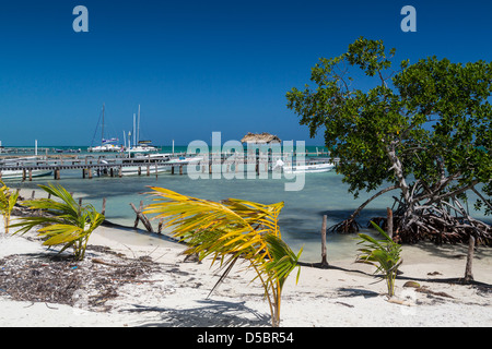 Ein Strand und Pier auf der tropischen Insel Cay Caulker, Belize, Caribbean. Stockfoto