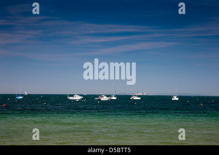 Die Kreidefelsen von der Isle Of Wight gesehen vom Strand bei Swanage in Dorset England UK Stockfoto