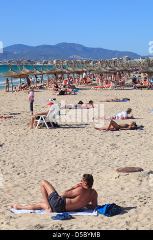 El Arenal, Spanien, Badende an der Platja de Palma Stockfoto