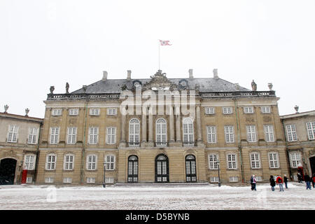 Wachen steht vor königlichen Schloss Amalienborg in Kopenhagen, Dänemark, 20. Januar 2010. Es besteht aus vier identischen Paläste mit einem zentralen Platz und eine monumentale Reiterstatue Amalienborg Gründer, König Friedrich V. Frederik VIII Palast, Wohnsitz von Kronprinz Frederik und Kronprinzessin Mary und ihre Kinder wird dargestellt. Foto: Patrick van Katwijk Stockfoto