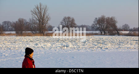 Eine Frau kommt in der Nähe der gefrorenen Ufern des Flusses Oder, fast zur Gänze durch kreisförmige Blätter Drfiting Eis in der Nähe von Lebus, Deutschland, 25. Januar 2010. In der Zwischenzeit erreichen die Eismassen, die über den Fluss von Stettin Lagune so weit wie die Stadt München. Foto: PATRICK PLEUL Stockfoto