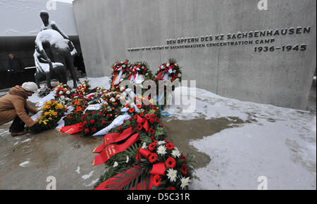 Kränze, die während der Trauerzeremonie im ehemaligen Konzentrationslager Sachsenhausen in Oranienburg, Deutschland, 27. Januar 2010 zu sehen. Zahlreiche Ereignisse gedenken der Opfer des NS-Regimes Ions internationalen Holocaust-Gedenktag. Am 27. Januar 1945 befreit die sowjetische Armee das Konzentrationslager Auschwitz. Foto: BERND SETTNIK Stockfoto