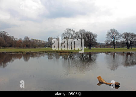 Richmond Park, England, Vereinigtes Königreich. 28. März 2013. Altem Baumbestand und die modernen Hochhäuser des Weingutes Alton spiegeln sich in den Teich, der sich gebildet hat, wo die endlose Regen Felder in der Nähe von Roehampton Gate in Richmond Park überflutet hat. Die größte der königlichen Parks, es ist eine nationale Natur-Reserve, Londons größte Site of Special Scientific Interest und einer europäischen Special Area of Conservation. Stockfoto