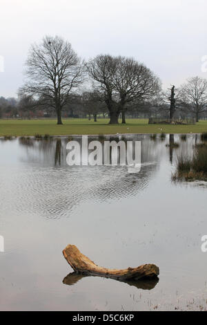 Richmond Park, England, Vereinigtes Königreich. 28. März 2013. Ein großer Teich hat gebildet, wo die endlose Regen Feldern in der Nähe der Beverley Brook am Roehampton Tor überflutet hat. Richmond ist der größte der königlichen Parks, es ist eine nationale Natur-Reserve, Londons größte Site of Special Scientific Interest und einer europäischen Special Area of Conservation. Stockfoto