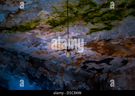 Fragment der Mauer mit Schimmel Stockfoto