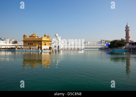 Malerische Aussicht auf den herrlichen goldenen Tempel und Heilige Pool im Amritsar unter strahlend blauem Himmel Stockfoto