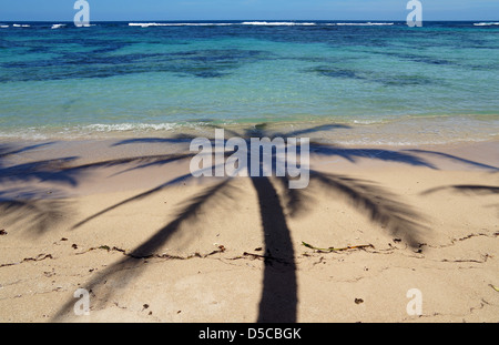 Kokospalme Baum Schatten an einem Sandstrand mit kristallklarem Wasser der Lagune im Hintergrund Stockfoto