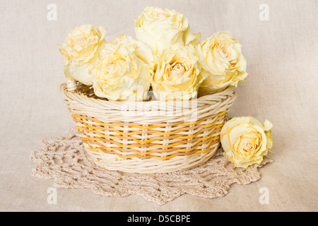 Weiße Rosen im Korb mit gestrickten Deckchen über Leinen Hintergrund getrocknet. Stockfoto