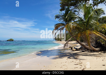 Tropischen wilden Sandstrand mit einer kleinen Insel, Kokospalmen und türkisfarbenes Wasser Stockfoto