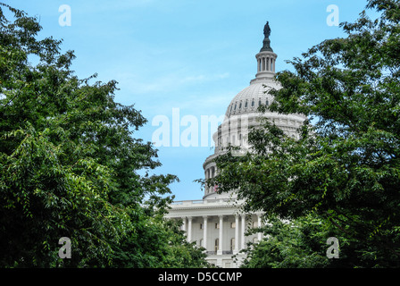 Die United States Capitol gesehen durch die Bäume auf dem Gelände des Capitol. Stockfoto