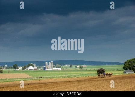 Eine amische Bauer pflügt seinen Bereich unter einem dunklen Himmel in Lancaster County, Pennsylvania, USA. Stockfoto