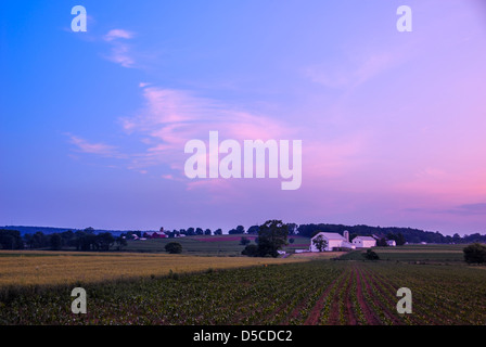 Die Farben des Sonnenuntergangs bieten das letzte Licht des Abends über die Amish Ackerland von Lancaster County, Pennsylvania, USA. Stockfoto
