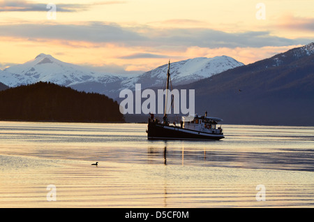 David B, ein restauriertes Boot für Holkham Bay, Alaska-Kreuzfahrt Touren verwendet. Stockfoto