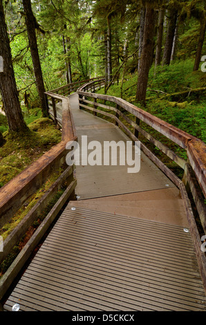 Promenade am Wald Rundwanderweg, Glacier Bay Nationalpark, Alaska. Stockfoto