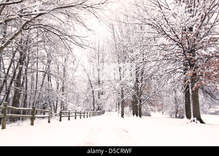 Sharon Woods Metro Park, Westerville, Ohio. Stockfoto