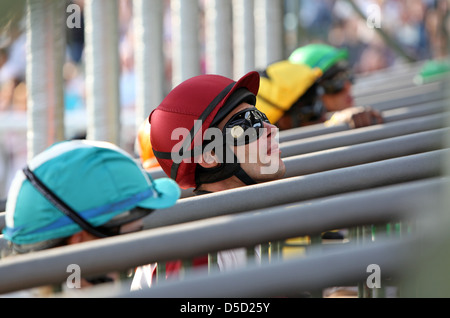 Hoppegarten, Deutschland, jockeys warten in den Startlöchern für das Rennen Stockfoto