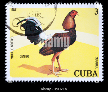 Briefmarke aus Kuba zeigt einen Hahn. Stockfoto