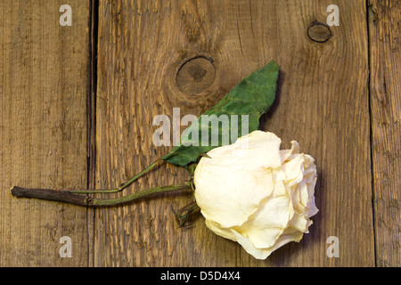 Getrocknete weisse rose über hölzerne Hintergrund Stockfoto