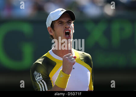 Miami, FL - Andy Murray aus Großbritannien reagiert während der 11. Tag der Sony Open 2013. Stockfoto