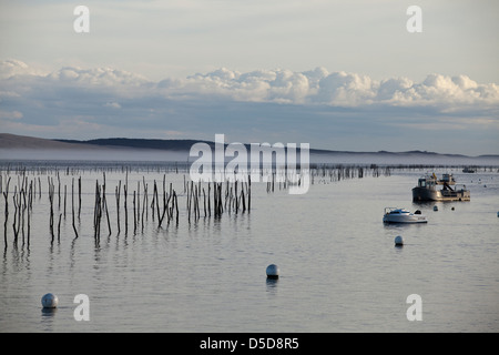 Beiträge markieren Austernbänke im Wasser in der Bucht von Arcachon an Lège-Cap-Ferret, Frankreich Stockfoto