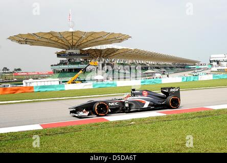 22. März 2013, Sepang, Malaysia - Nico Hülkenberg, deutsche Sauber F1 Team Pilot Steuerung seines Autos während der ersten Praxis Session Formel einen malaysischen Grand Prix 2013 auf Sepang International Circuit. (Foto von Robertus Pudyanto/AFLO) Stockfoto