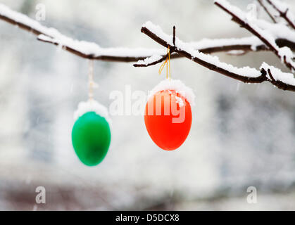 Berlin, Deutschland. 29. März 2013. Ostereier tragen eine Krone aus Schnee, wie sie von einem Strauch in einem Garten in Berlin, Deutschland, 29. März 2013 hängen. Foto: Wolfram Steinberg/Dpa/Alamy Live-Nachrichten Stockfoto