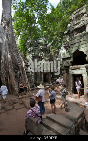 Touristen fotografieren die Ruinen. Ta Prohm Tempel. Angkor. Kambodscha Stockfoto